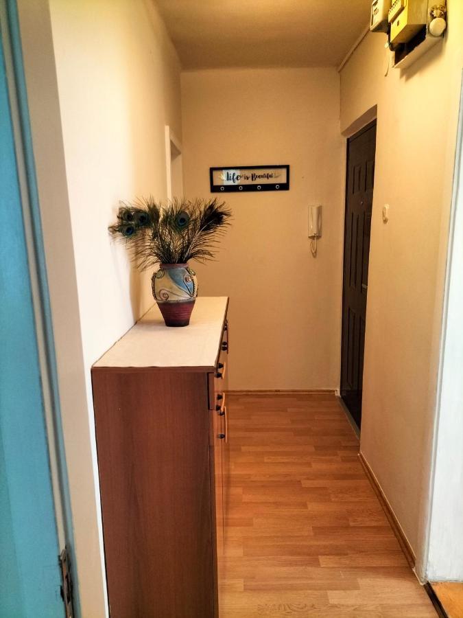Apartman Lulu Apartment Rijeka Ngoại thất bức ảnh